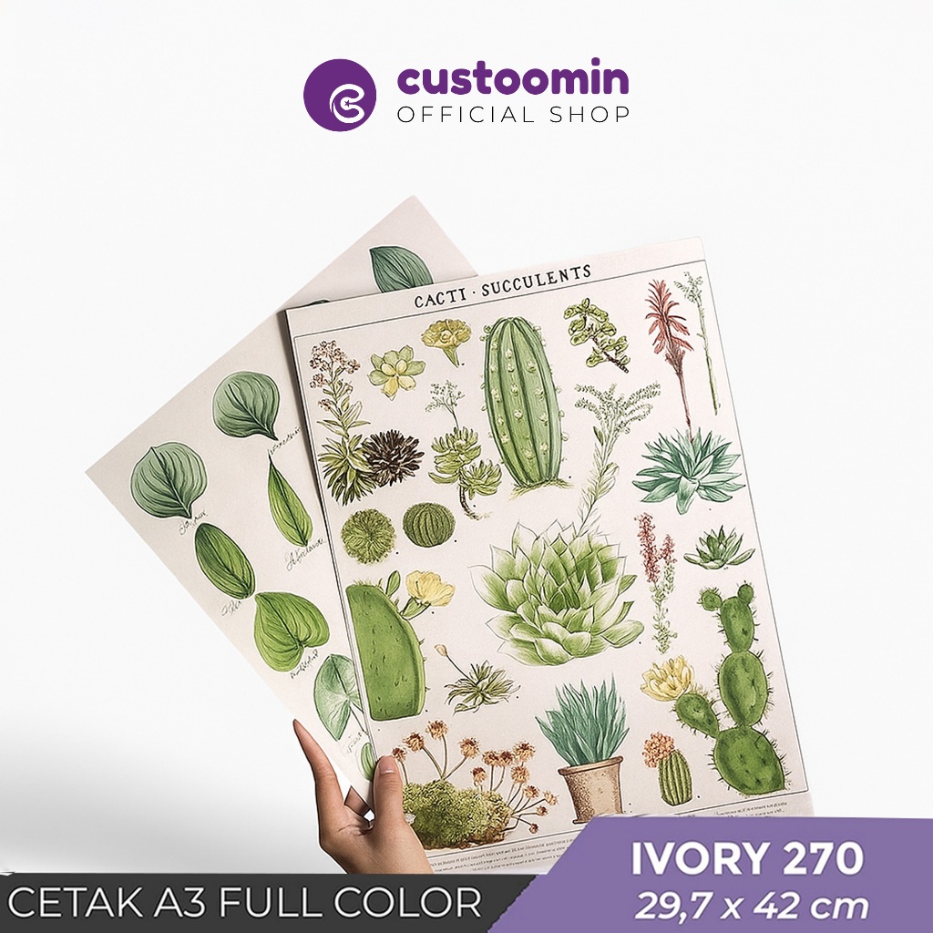 

Cetak A3 Full Color (29,7x42 cm) #Ivory 270 gsm - Cetak Full Colour - Custom | Custoom.in