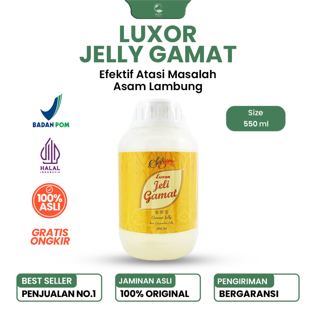 Jelly Gamat Asli | Jelly Gamat Asli 100% Original | LUXOR | 550 ML