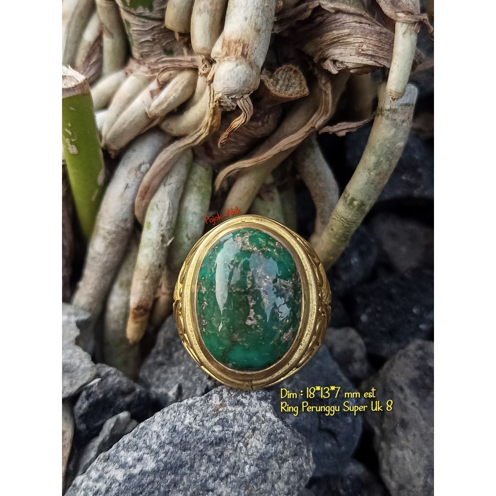 PA 17 - Batu Akik Pirus Persia 12 ( Lawasan )