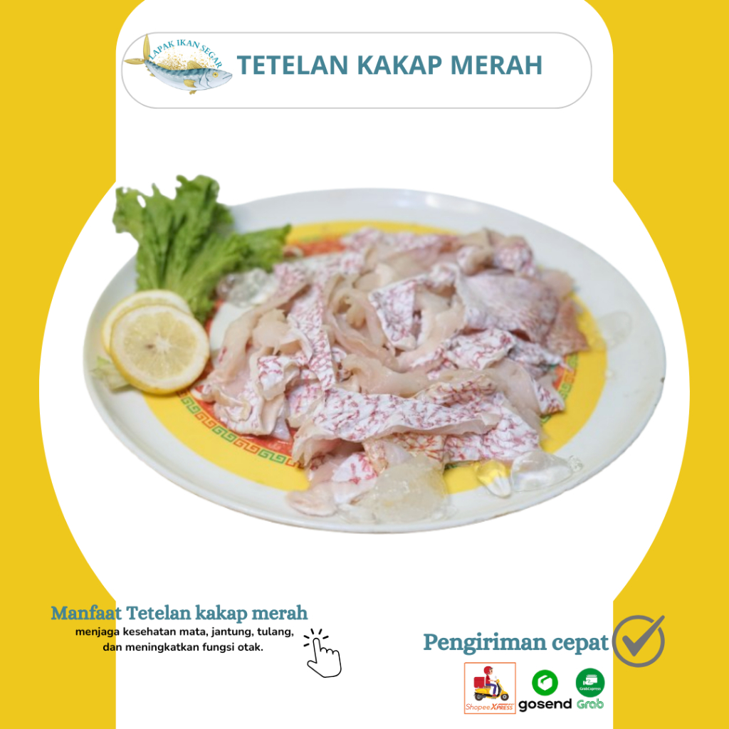 

Tetelan kakap merah segar 500-1kg