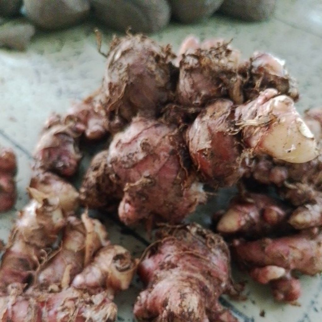 

Jahe Merah Pilihan Fresh 1KG