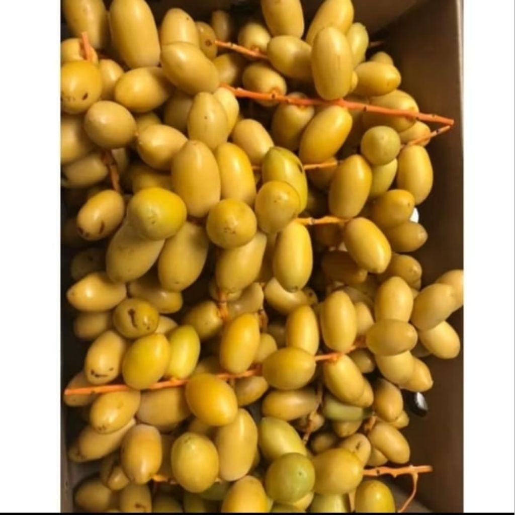 

PO 16 September 2025 500gr KURMA MUDA BARHEE kuning mix merah promil free tespek