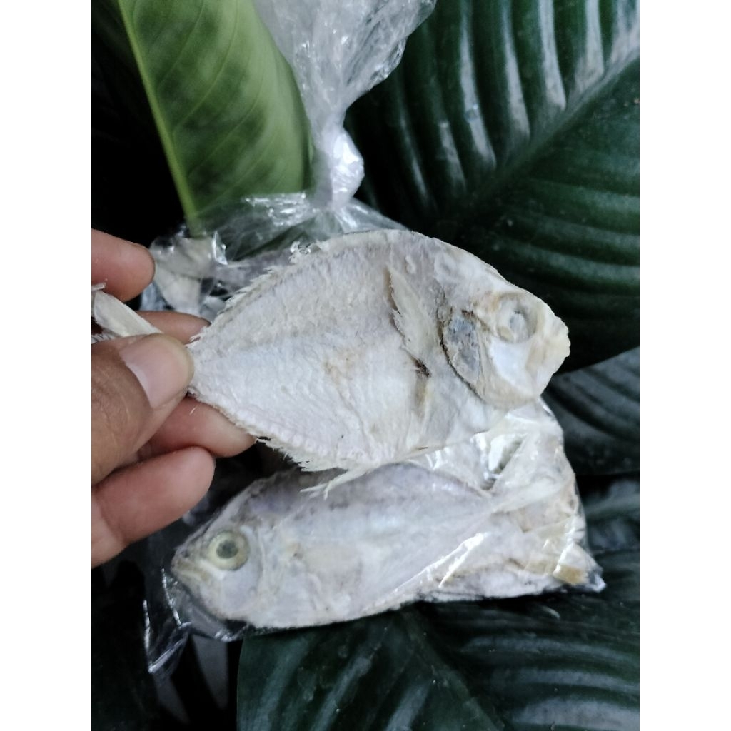 

IKAN ASIN PETHEK,GEREH PETHEK