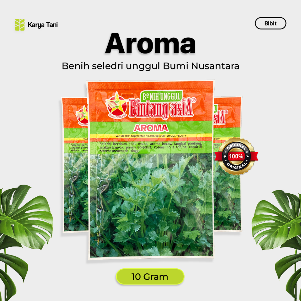 BENIH SELEDRI AROMA 20 GRAM BINTANG ASIA