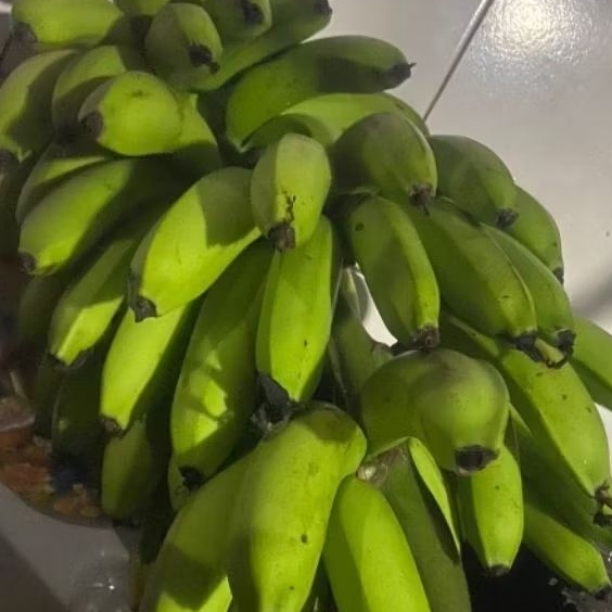 

Buah Pisang Mentah Erbe Fv60 Pisang Bangkaulu