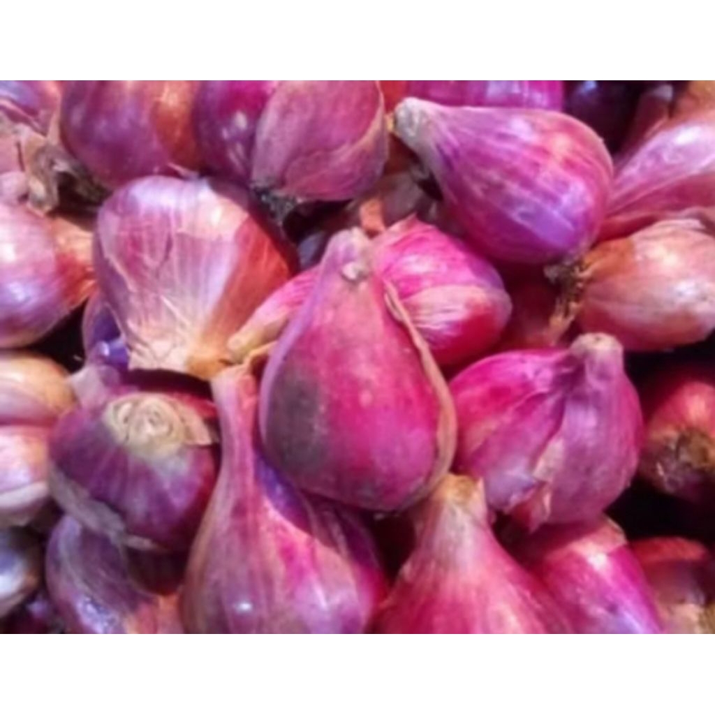 

Bawang Merah segar 1 kg