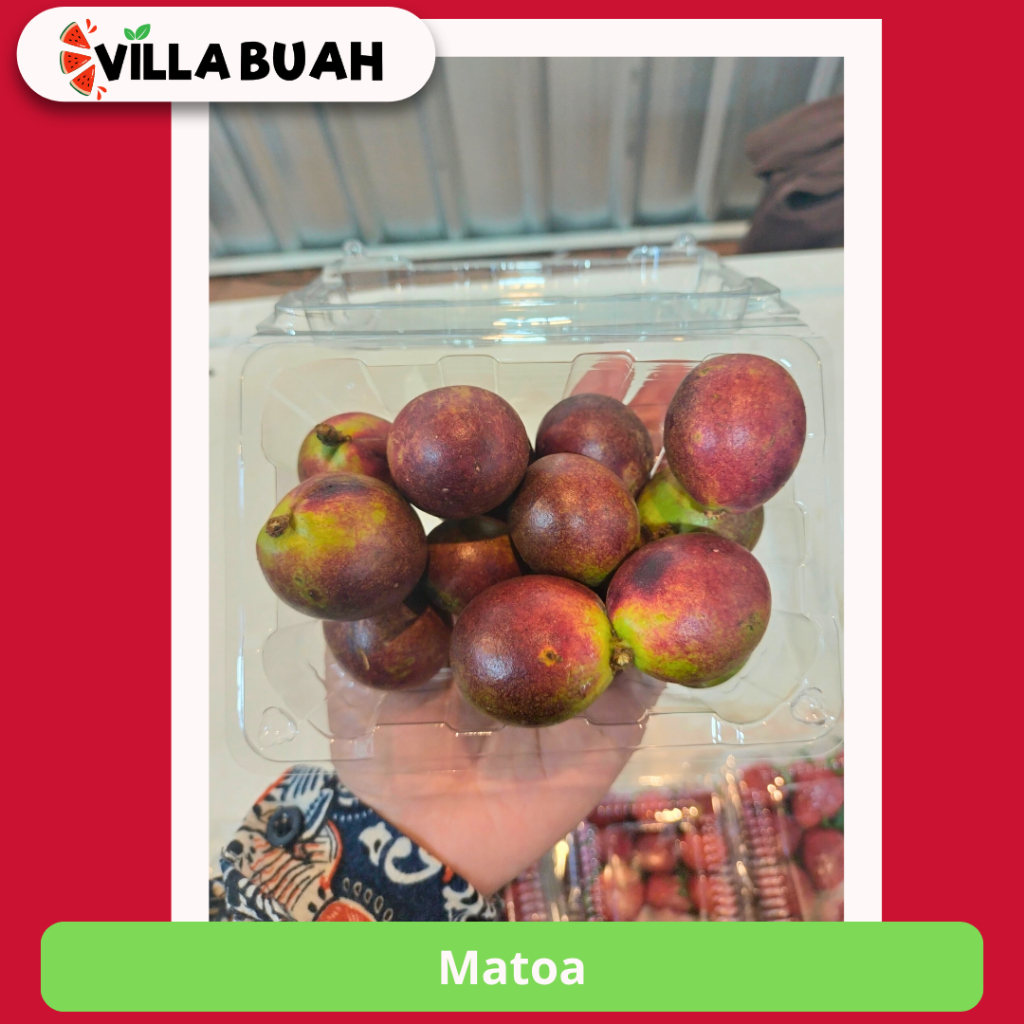 

Matoa (250 gr)