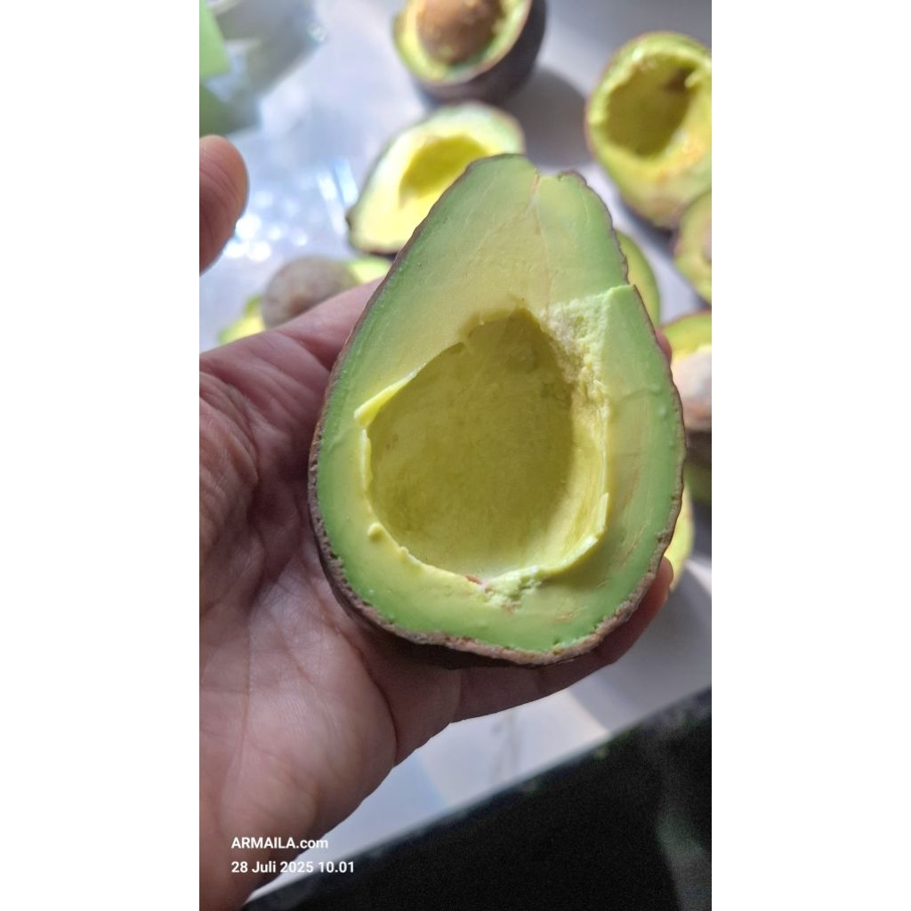 

Buah Alpukat Buah Pokat Grosir 5kg Pokat Mentega Enak