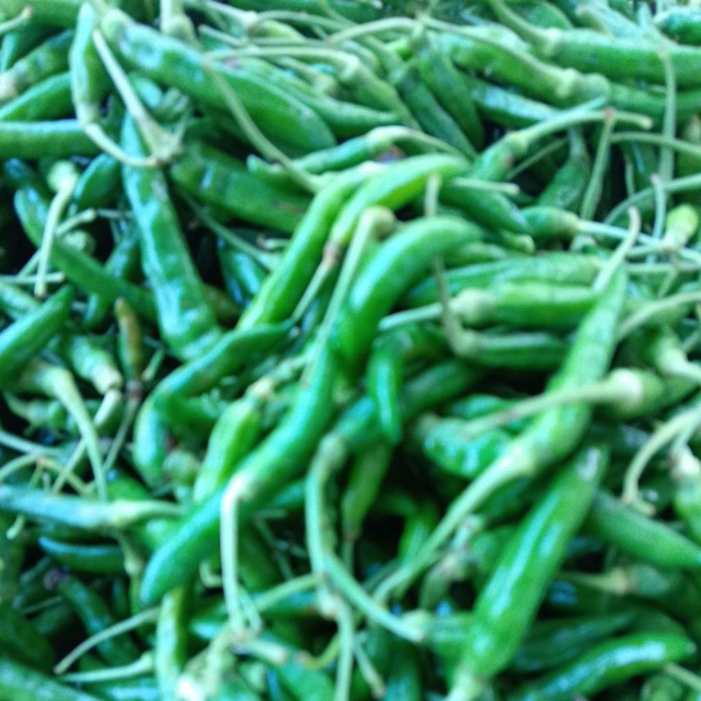 

Cabe Rawit Hijau 50 gram Cigitan