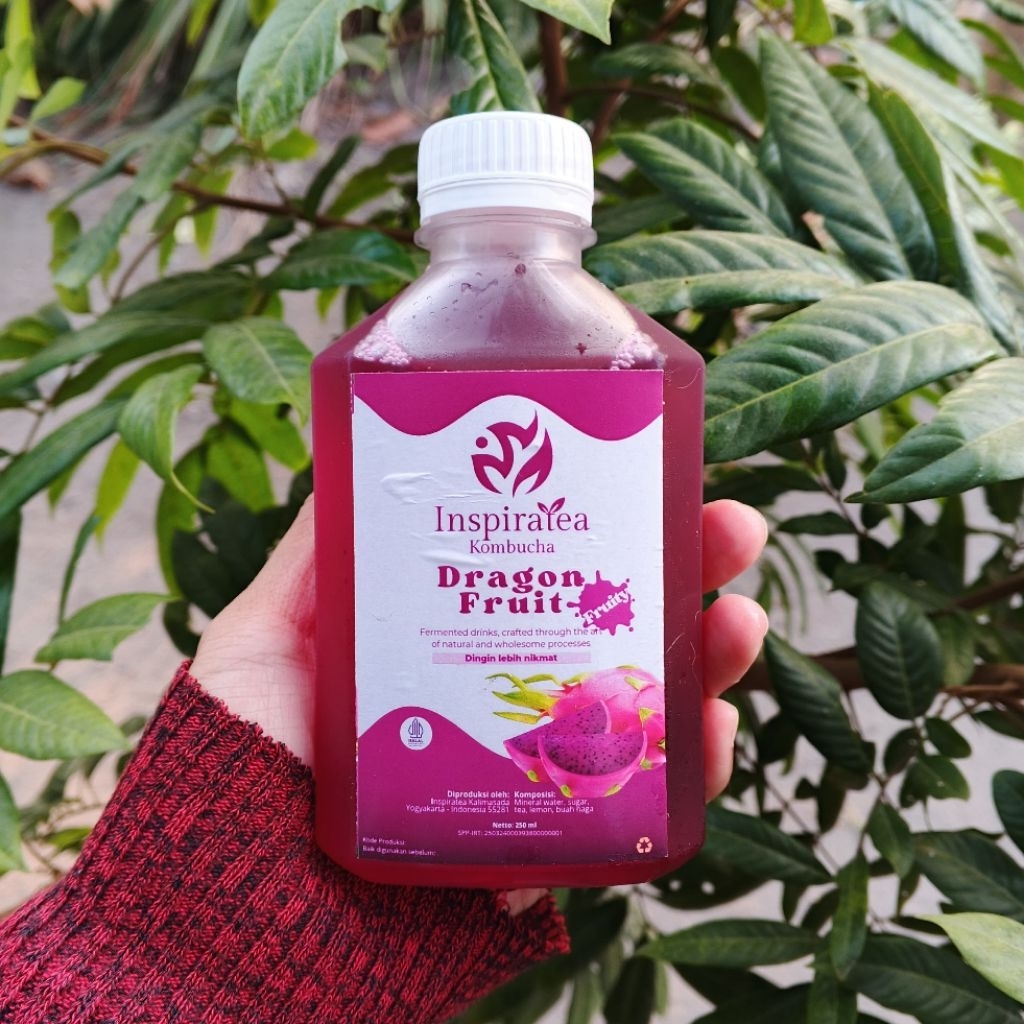 

Kombucha Dragon Fruits | Minuman probiotik Alami|TehKesehatan
