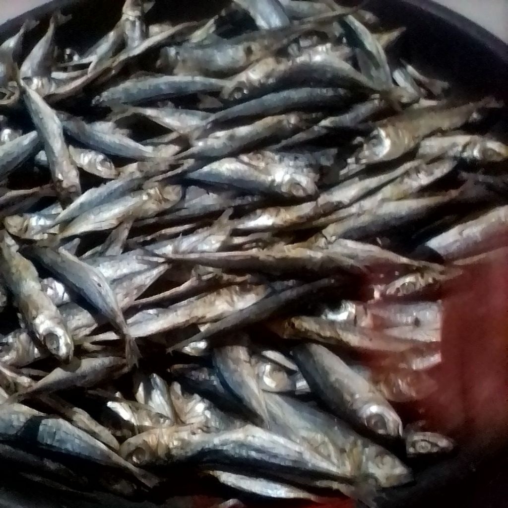 

layang gerehan seprapatan