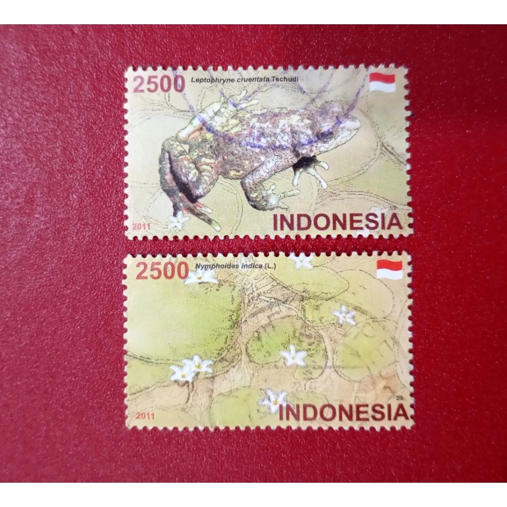 

PRANGKO INDONESIA FLORA FAUNA