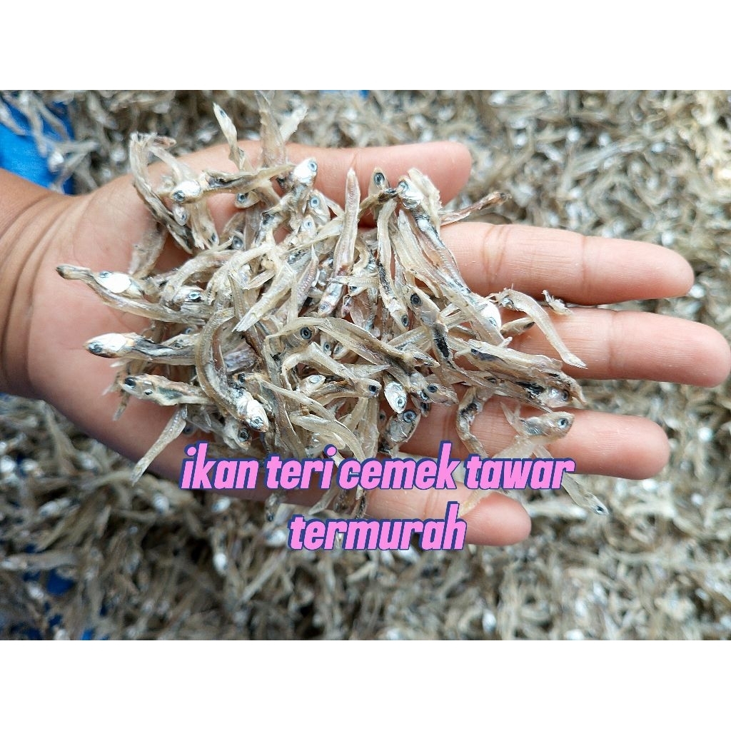 

ikan teri cemek Super/500g/1000g