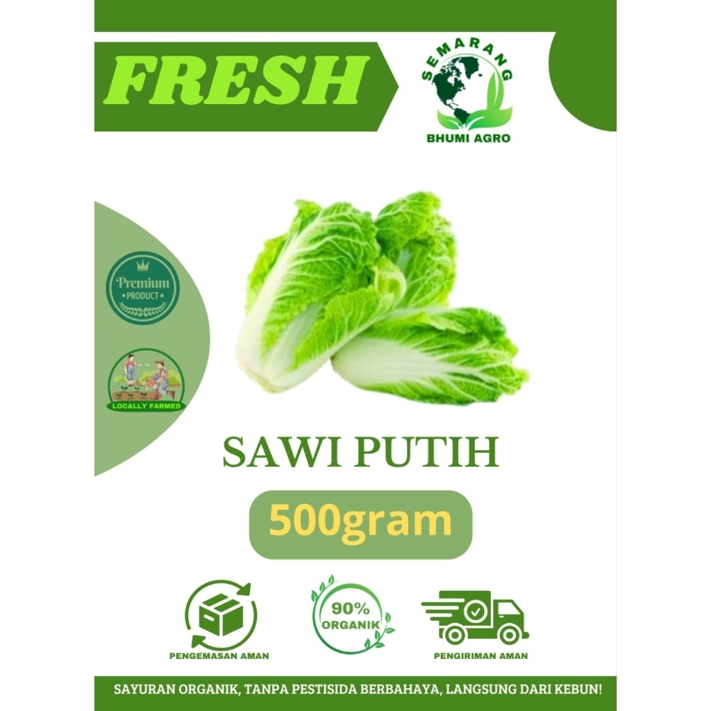 

Sawi Putih Segar & Organik – 500gr | BHUMI AGRO
