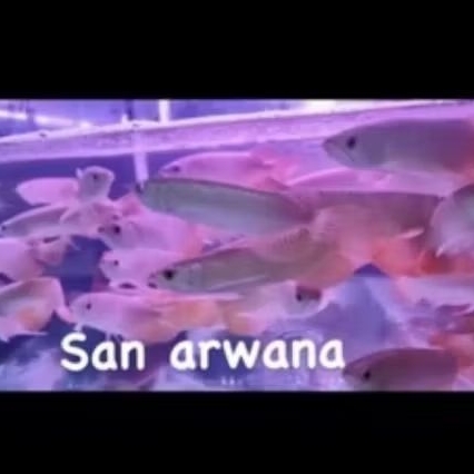 pesanan Banjar red metalik lengkap