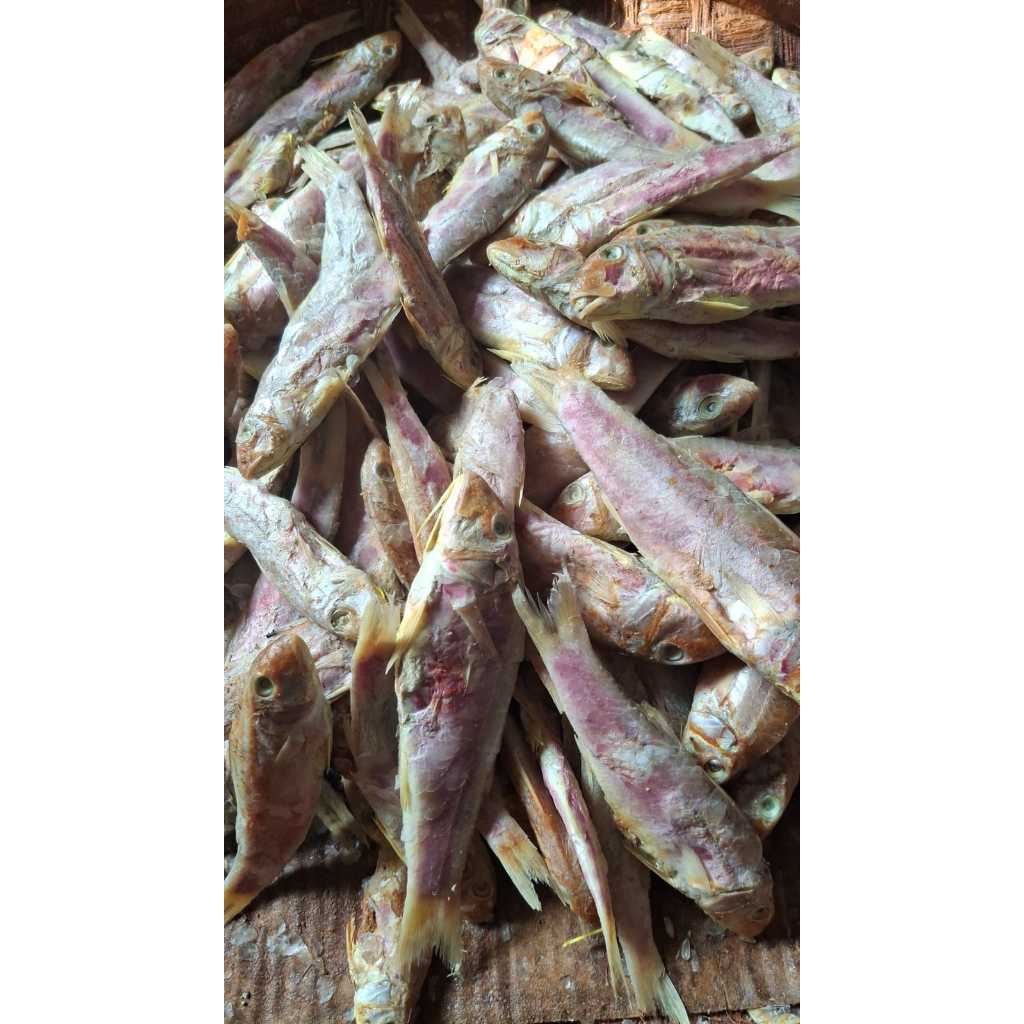 

IKAN ASIN KERING KUNIRAN KHAS CILACAP