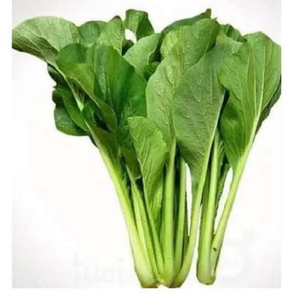 

SAWI HIJAU CAISIM - 36 FRESH PALEMBANG