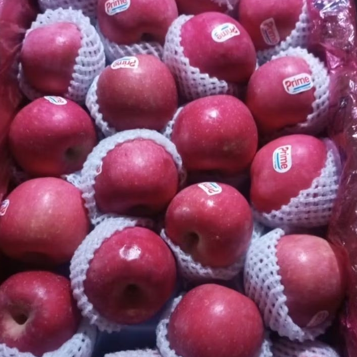 

APEL FUJI PREMIUM GARING & MANIS