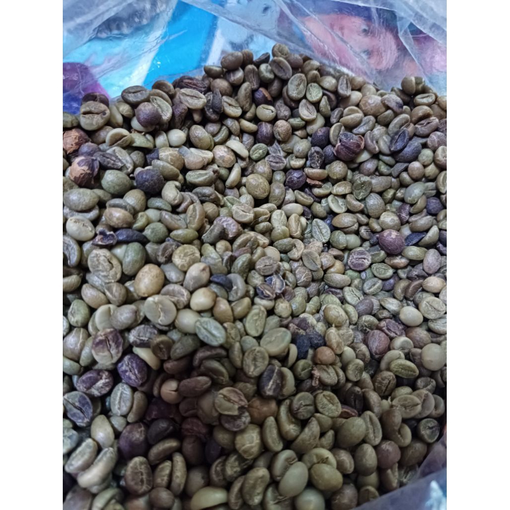 

KOPI ROBUSTA NATURAL RAHYANG GREENBEAN REJECT 1KG KOPI ROBUSTA SMOOTH NATURAL KOPI ROBUSTA GREENBEAN NATURAL