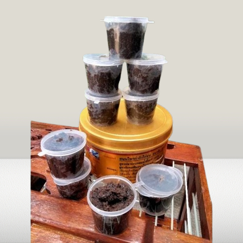 kamlang thailand ; kamlang gold 50gr ; kamlang thai ; kamlang ayam thailand ; kamlang basah thailand