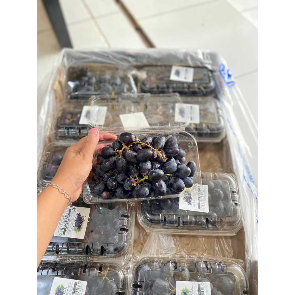 

Anggur autumn hitam ada biji