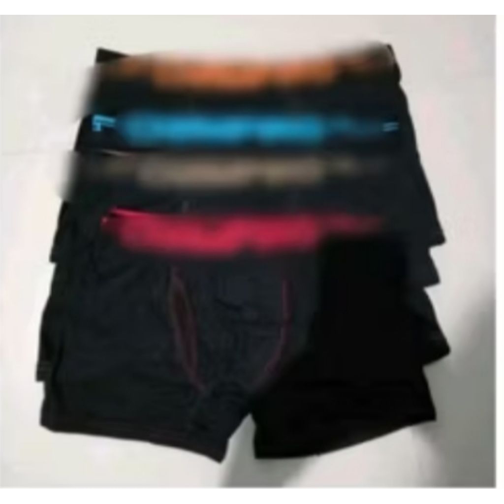 CELANA DALAM BOXER CHMPRO RIJEK