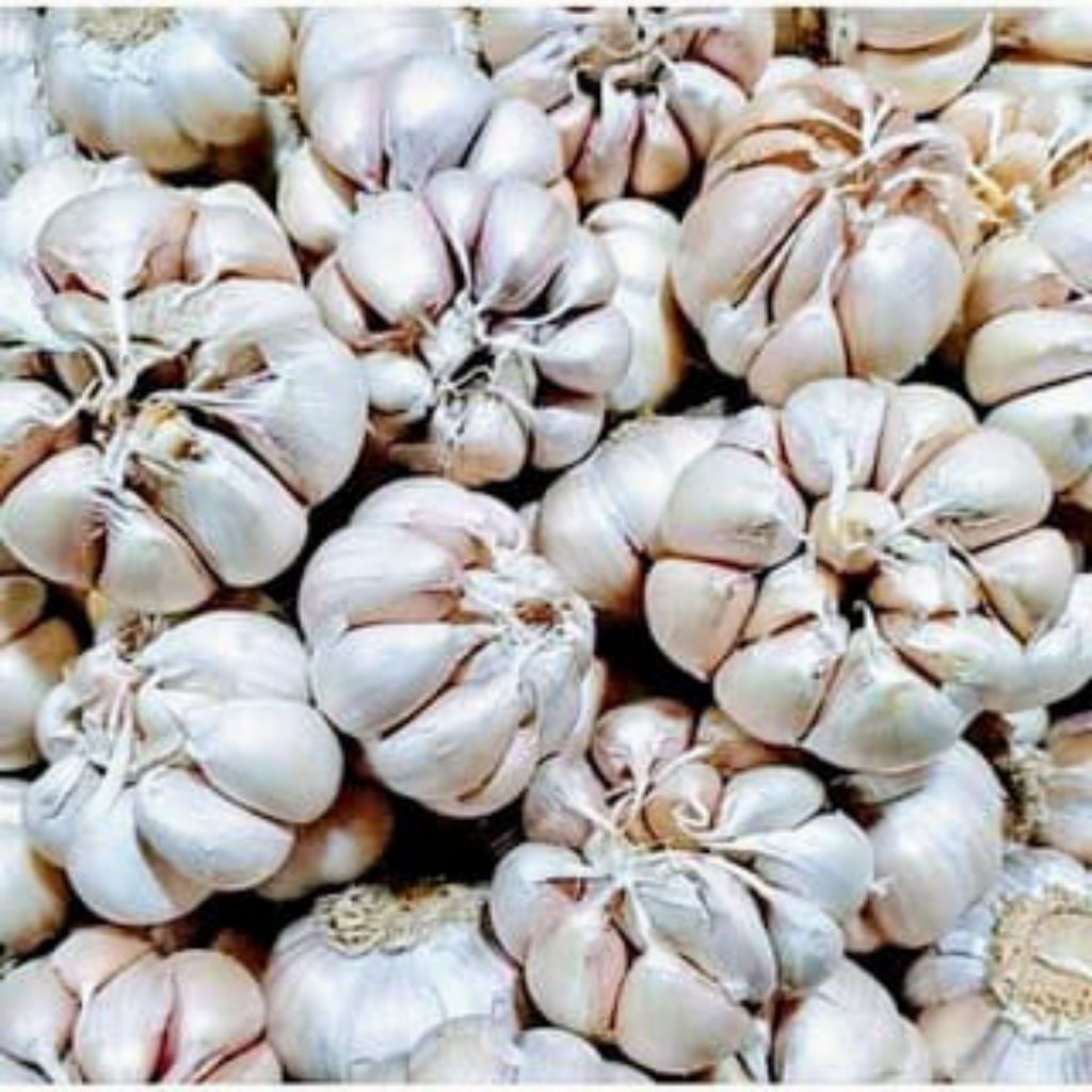 

bawang putih 1kg kualitas terbaik