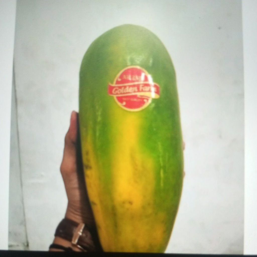 

Buah Pepaya California Fresh Manis 1 Buah