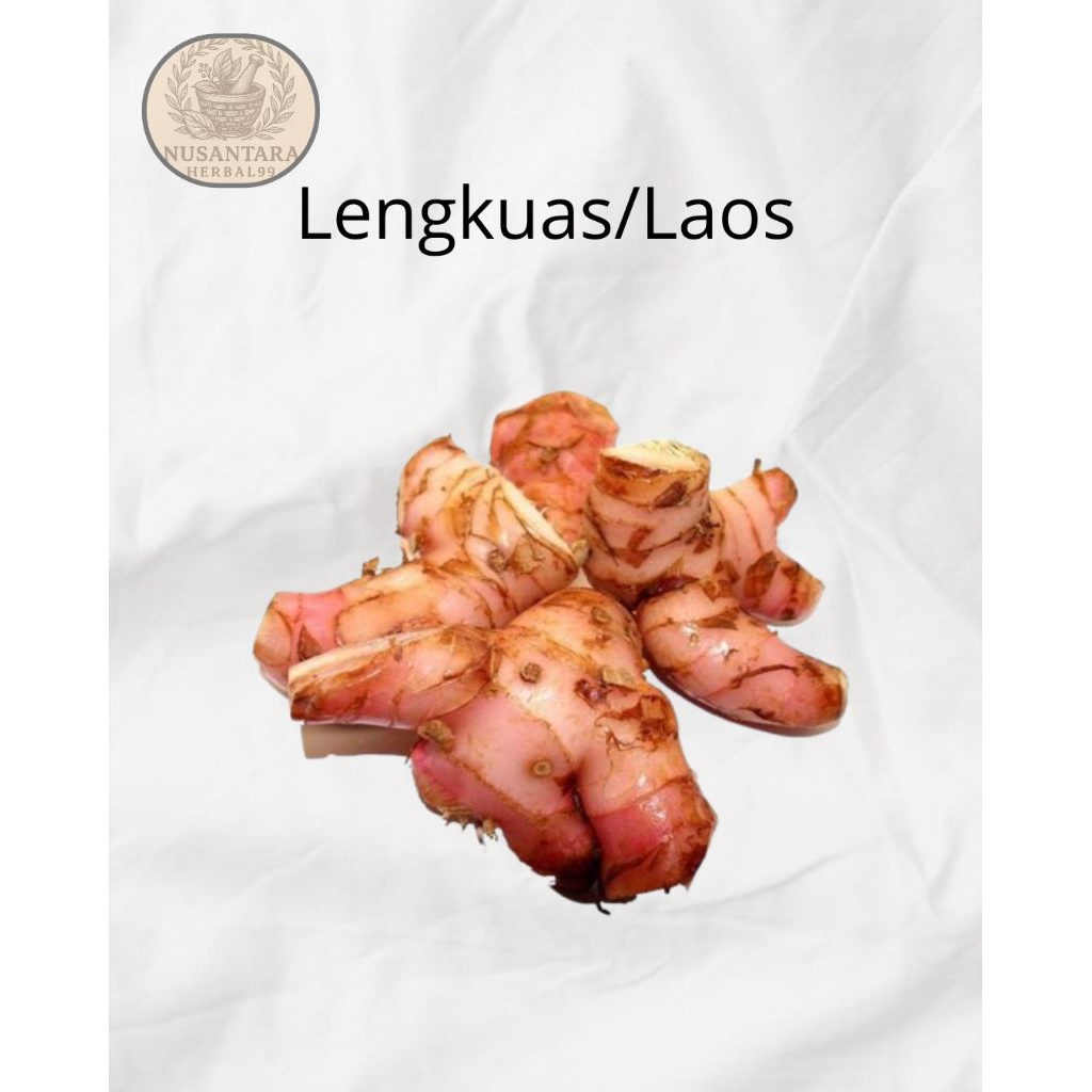 

Lengkuas/Laos Bumbu masak 1kg fresh