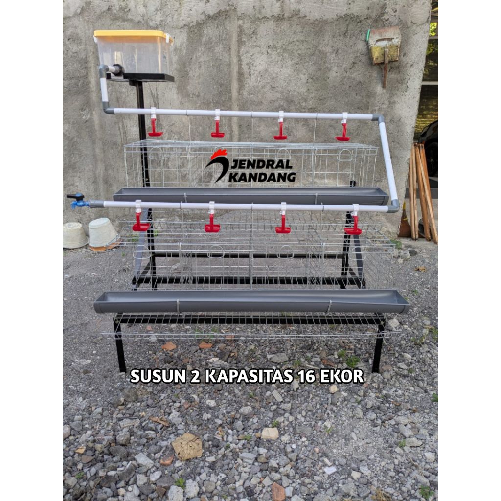 Kandang Ayam Petelur Full Set Kapasitas 16 Ekor