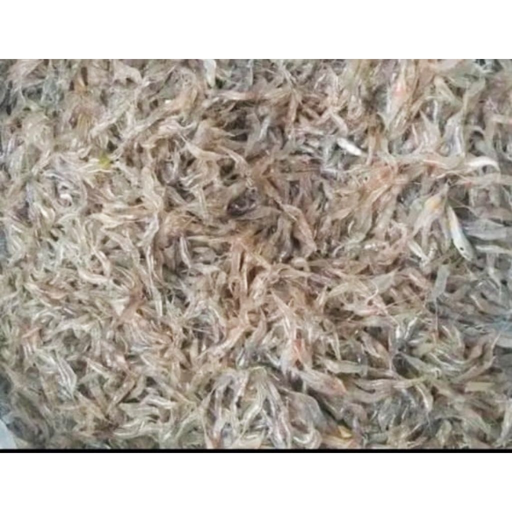 

1Kg Udang beku kepala merah segar Fresh