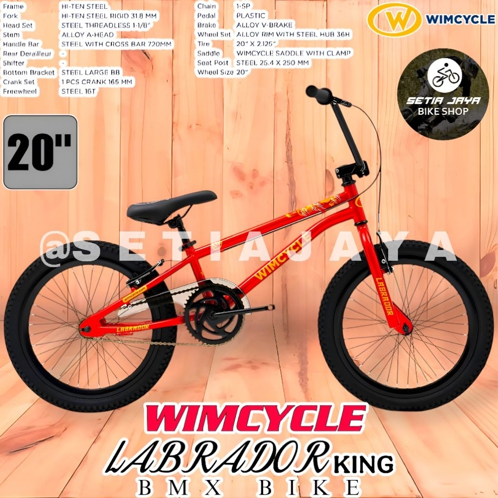 Sepeda Anak BMX 20 Inch WIMCYCLE LABRADOR KING Frame Steel, Rem V-Brake, Sepeda Anak Laki-Laki New