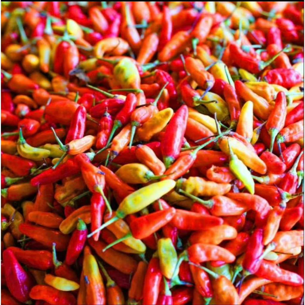 

Cabe Rawit Merah Kecil 250gram/ 500gram / 1.000gram