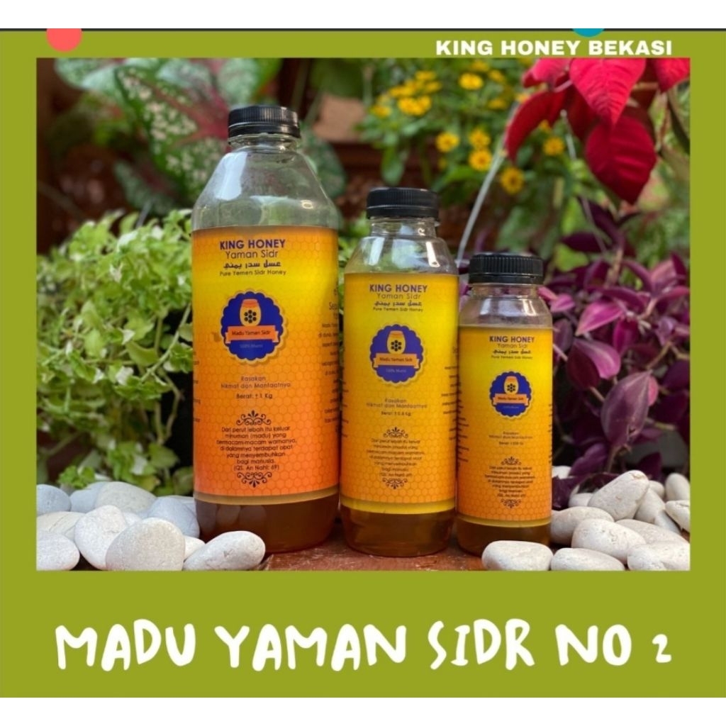 

Madu Sidr Bughyah Yaman