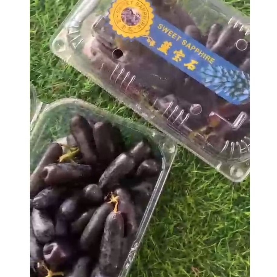 

BUAH ANGGUR/ GRAPES BLACK SAPHIRE PREMIUN 500 GRAM