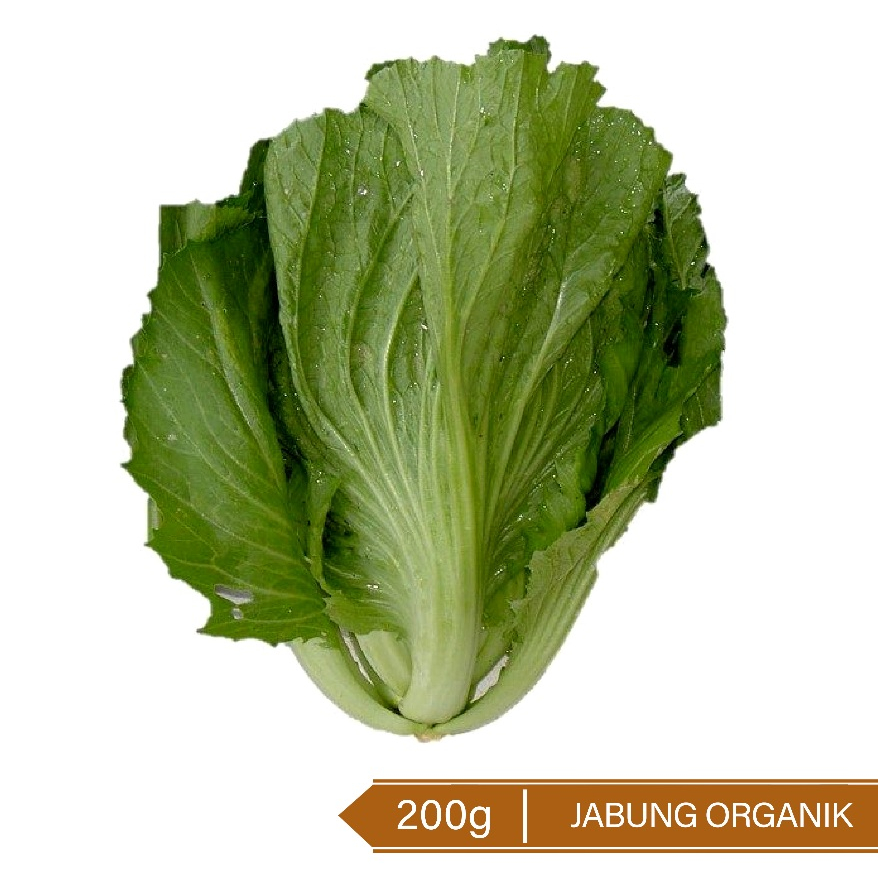

Sawi Pahit Organic 200g / Jabung 200g / Kuacai