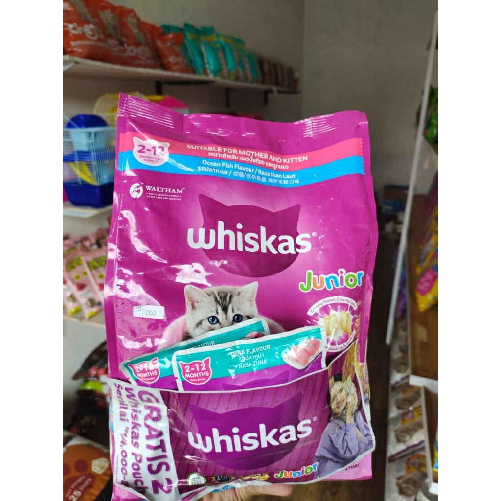 Whiskas Dryfood Junior isi 1,2Kg Bonus whiskas basah junior 85gr 2pcs