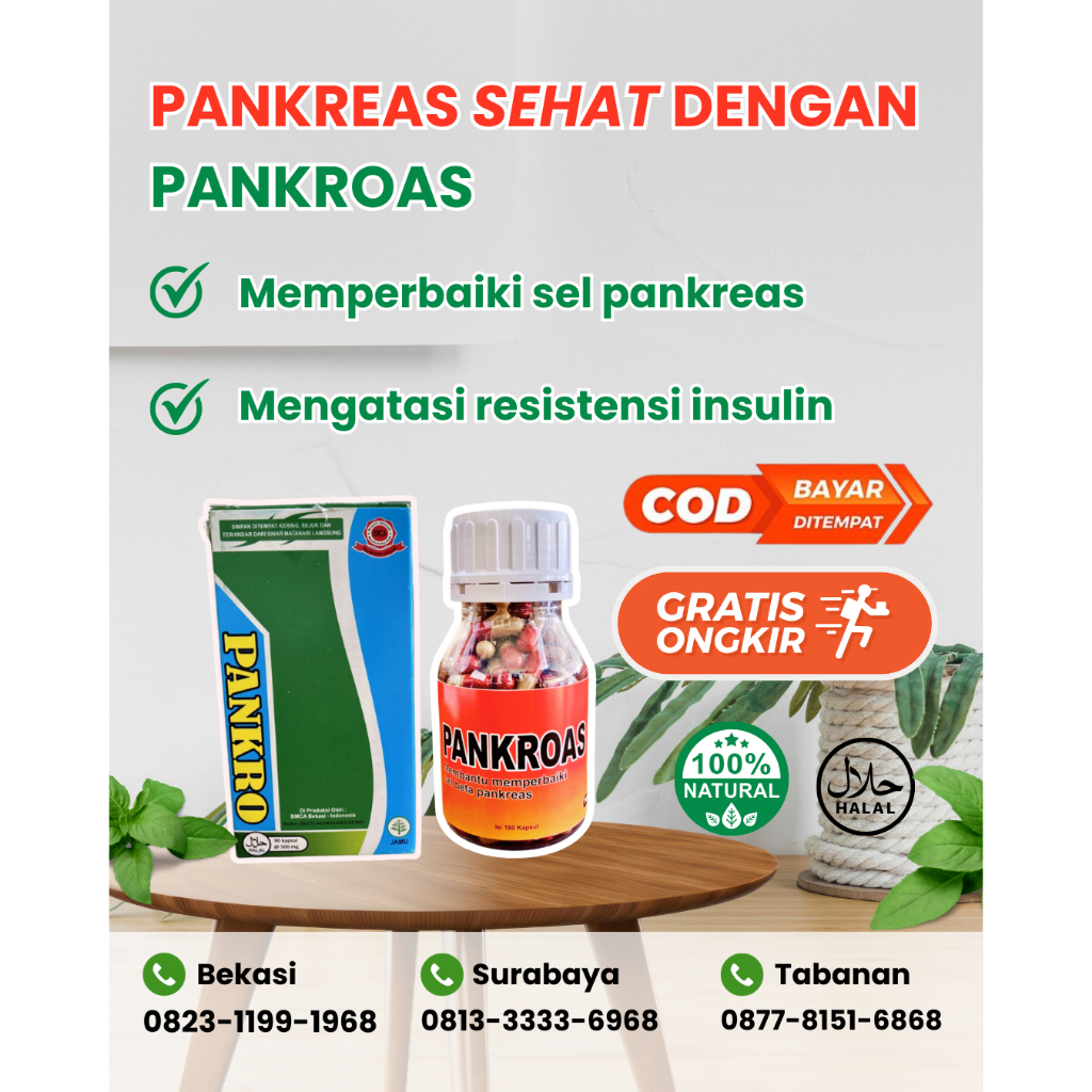 KAPSUL PANKROAS Obat herbal untuk membantu memperbaiki pankreas - BMCA