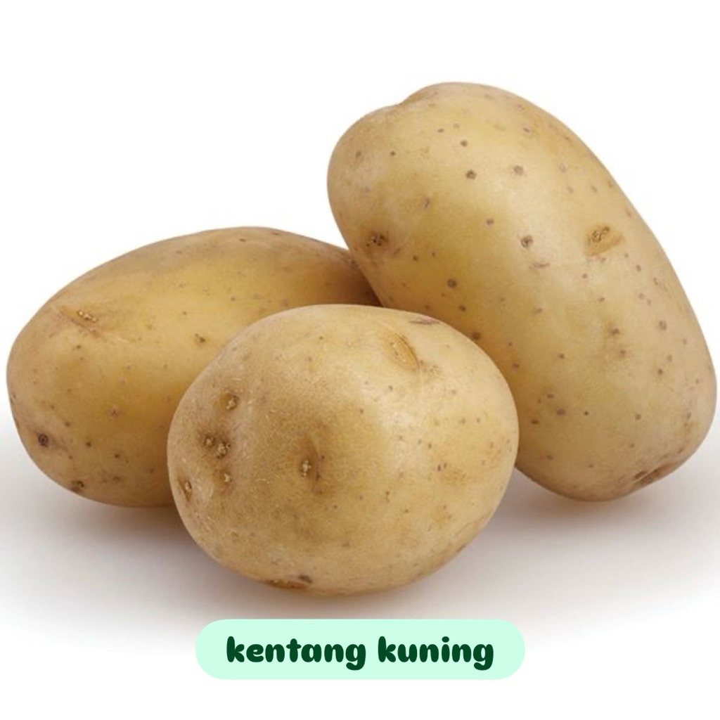 

Kentang kuning fresh 500g-1kg