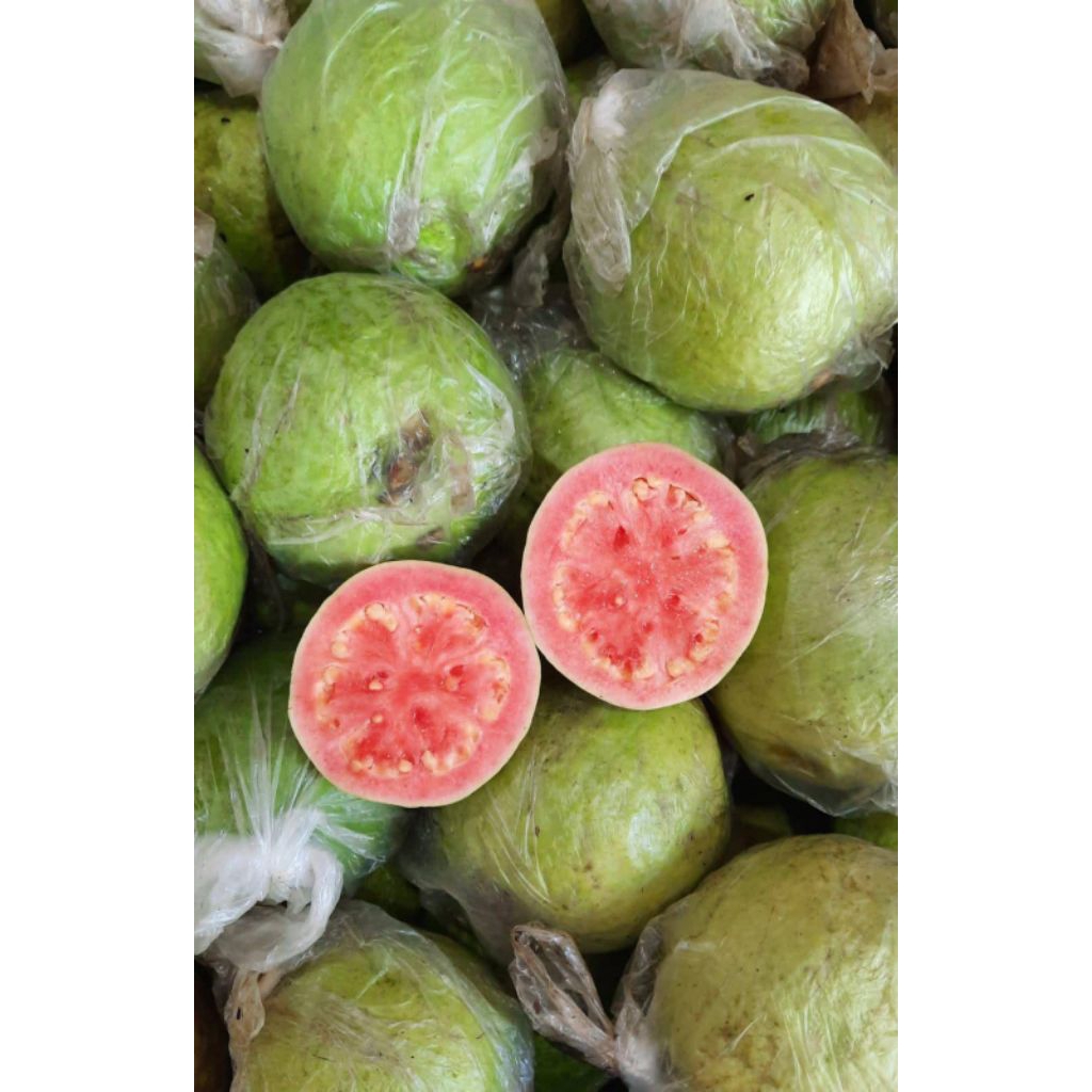 

Jambu merah 1kg