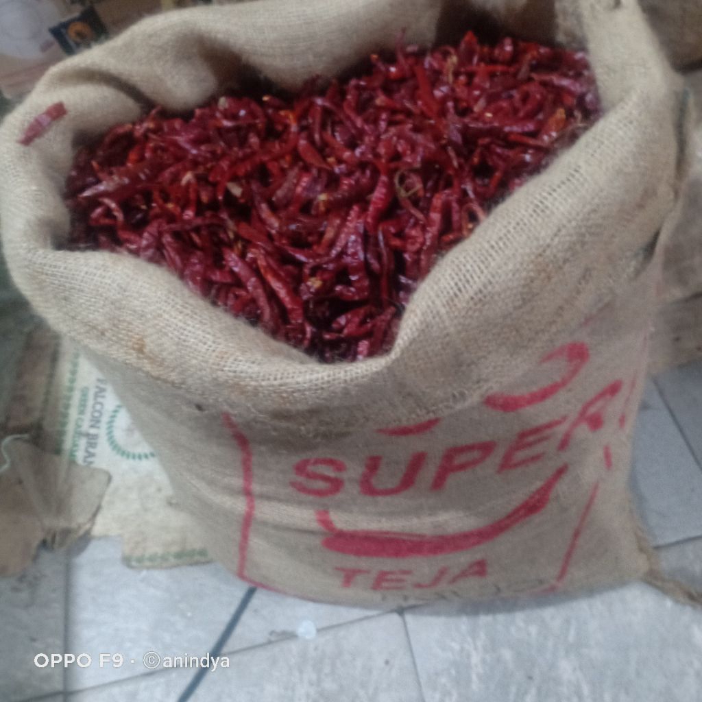 cabe keriting 1 karung Cabe keriting kering karungan cabe rawit karungan cabe Teja karungan