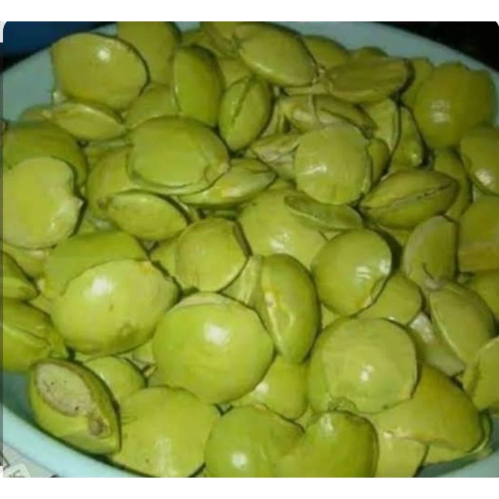 

jengkol/muda segar/pilihan terbaik !! blum di kupas redyy siap kirim