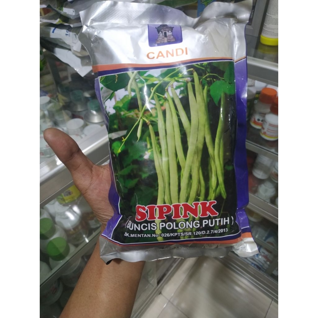 buncis sipink benih buncis sipink 500gr