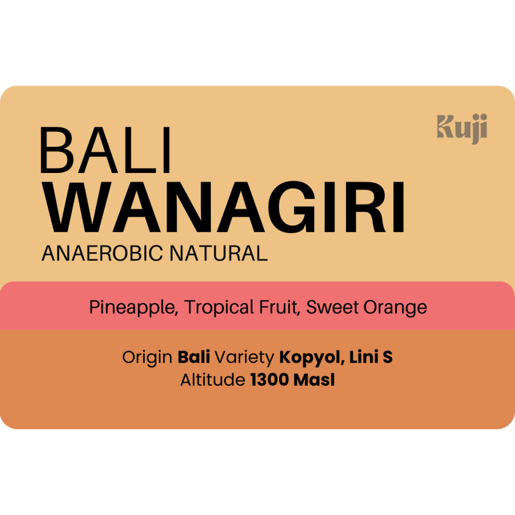 

Biji Kopi Arabika Bali | Single Origin | 200 Gram