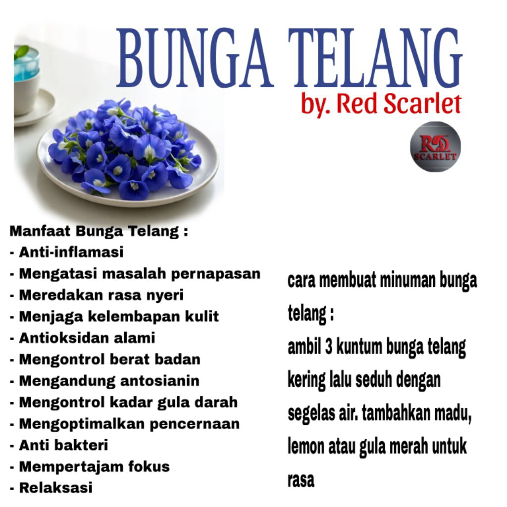 

Bunga Telang Kering