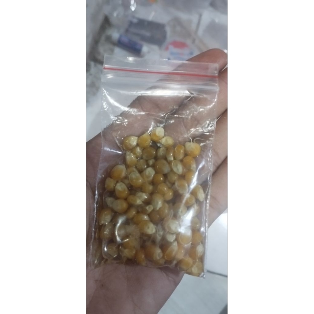 

popcorn instant tinggal goreng