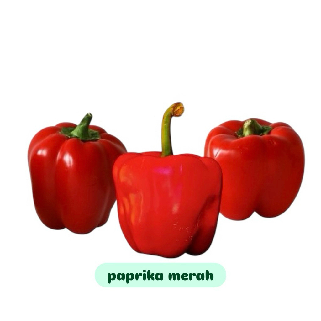 

Paprika merah fresh