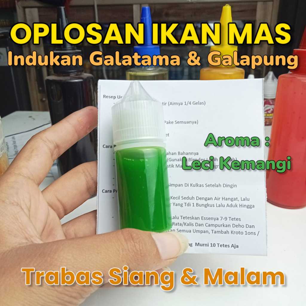 Essen Ikan Mas Paling Gacor Siang & Malam Target Indukan/Babon Harian Galapung Galatama