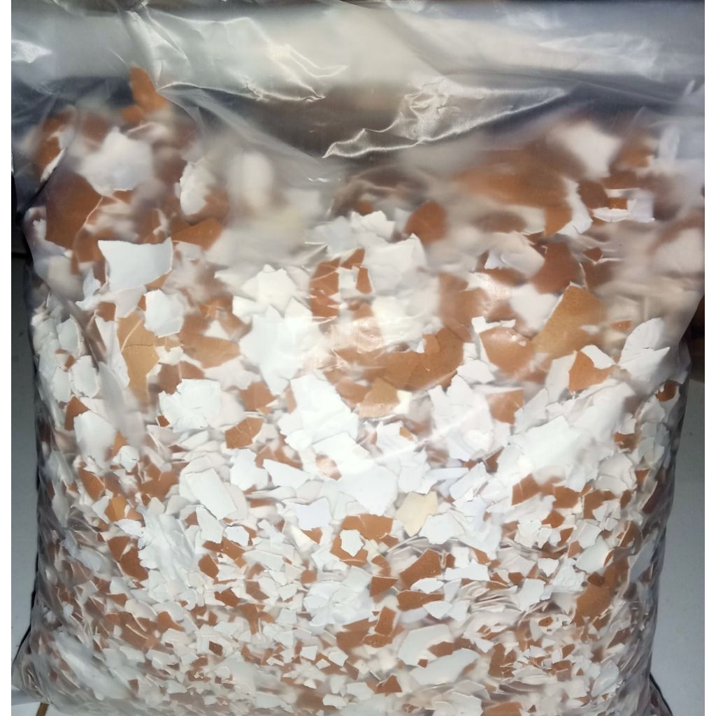 Cangkang Telur Kasar 1 kg