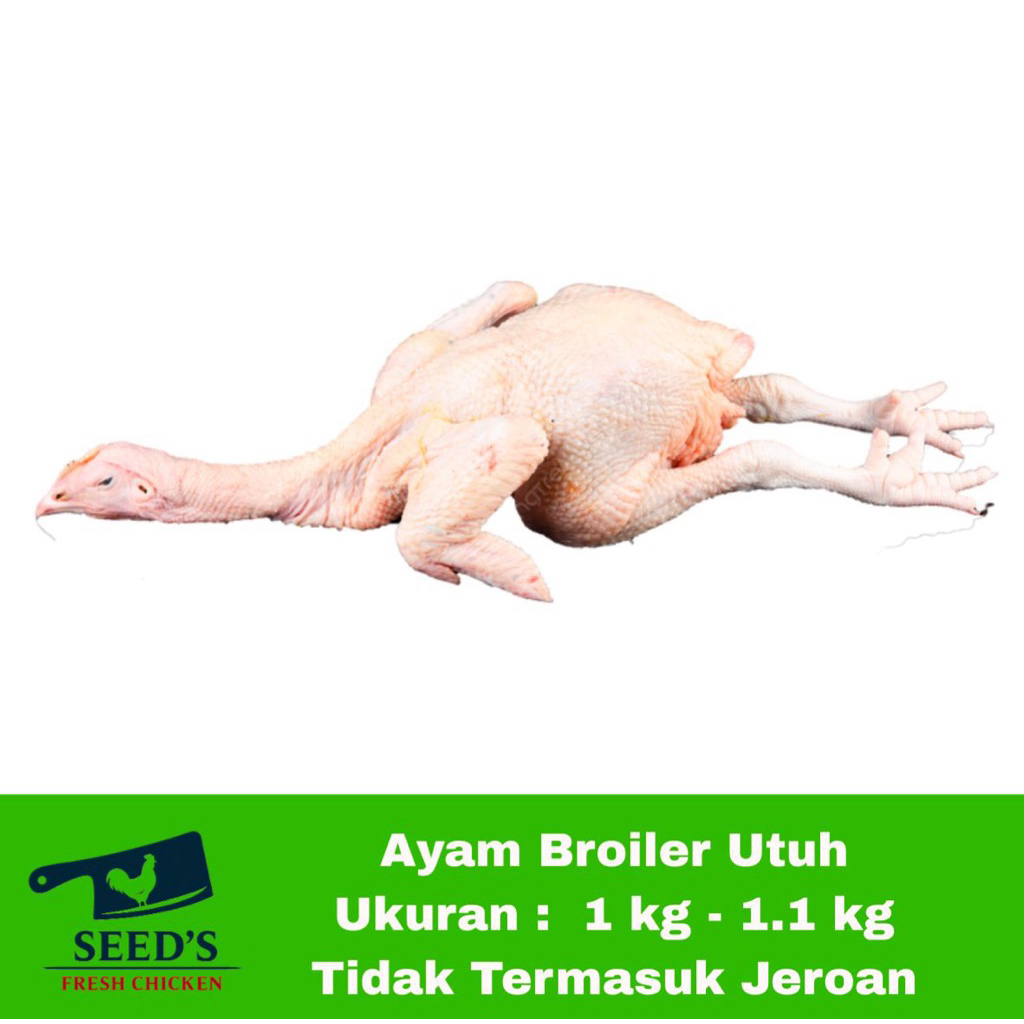 

Ayam Broiler Fresh // Daging Ayam Fresh